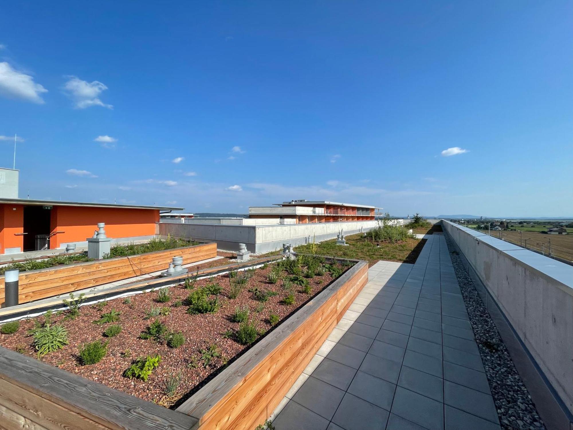Luxusapartment Mit 40 Qm Terrasse, E-Parkplatz Und Parkplatz 格拉茨 外观 照片